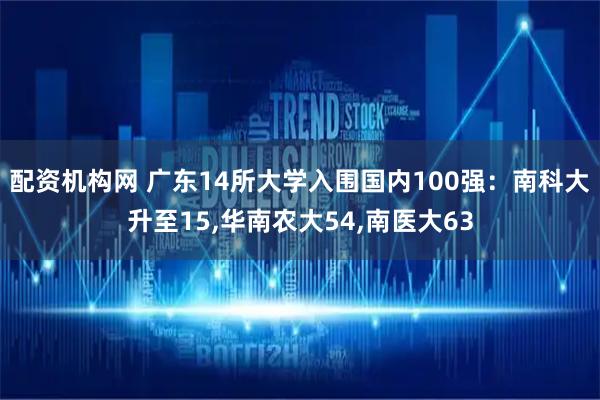 配资机构网 广东14所大学入围国内100强：南科大升至15,华南农大54,南医大63